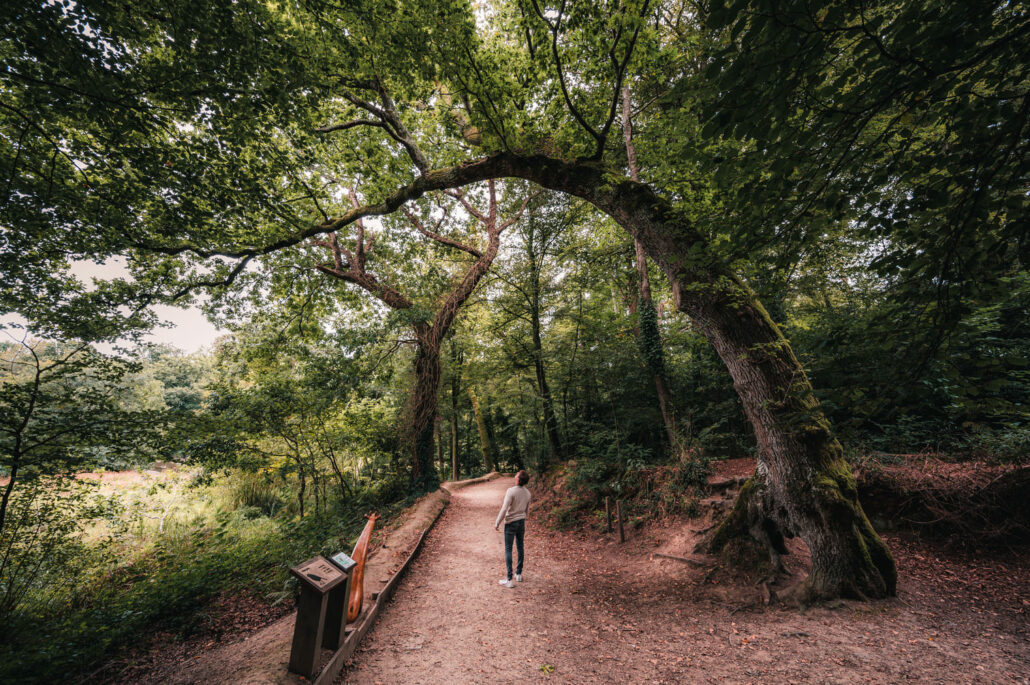 La Foret Fouesnant