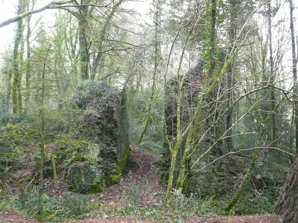 Moosbedeckte Ruinen im Wald