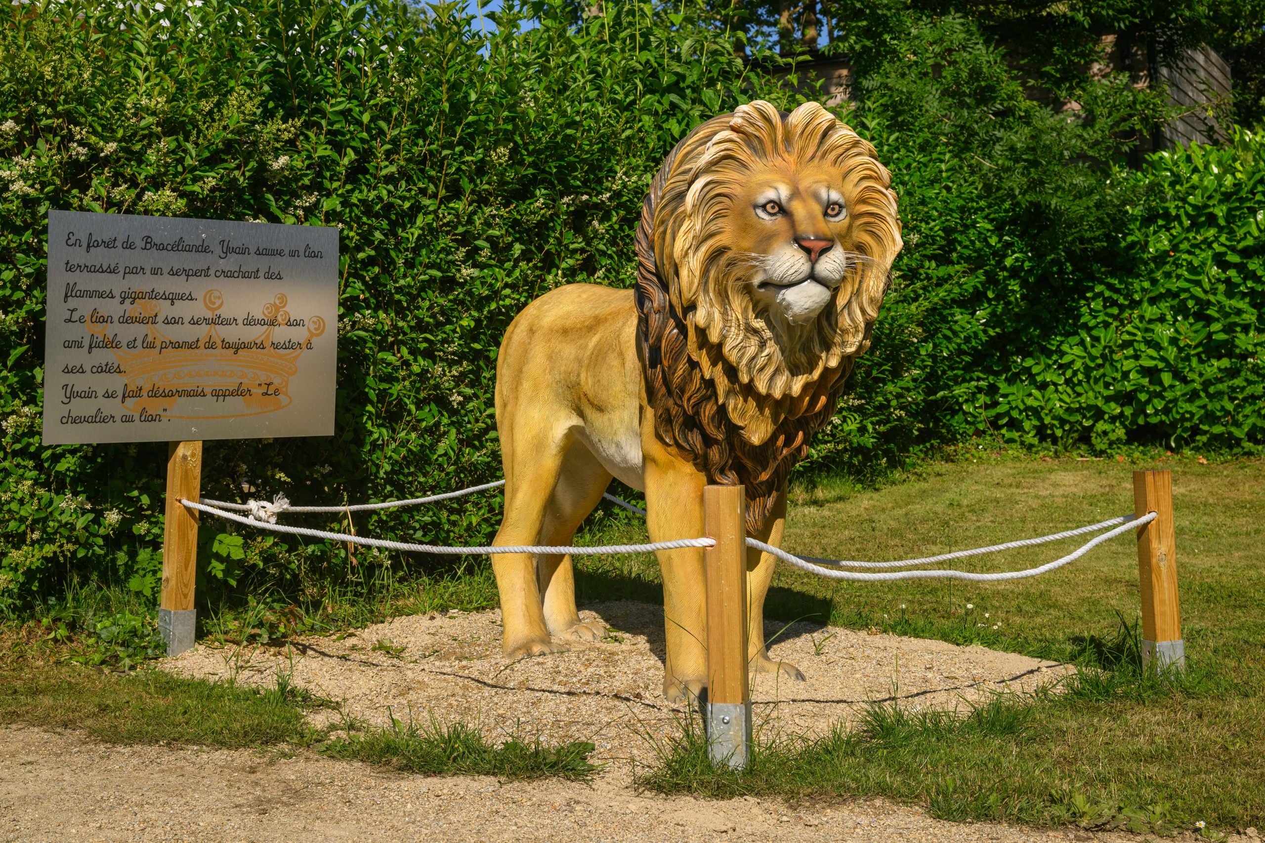 Statue de lion dans un jardin. Panneau explicatif.